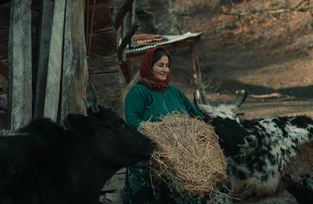 Kıyamet Alametleri ve Hayvanlarla İşbirlikler